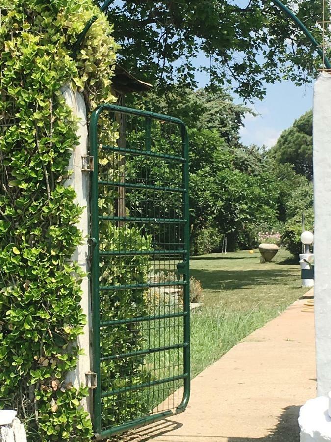 Estate Irene Villa อเล็กซานโดรโพลิส ภายนอก รูปภาพ
