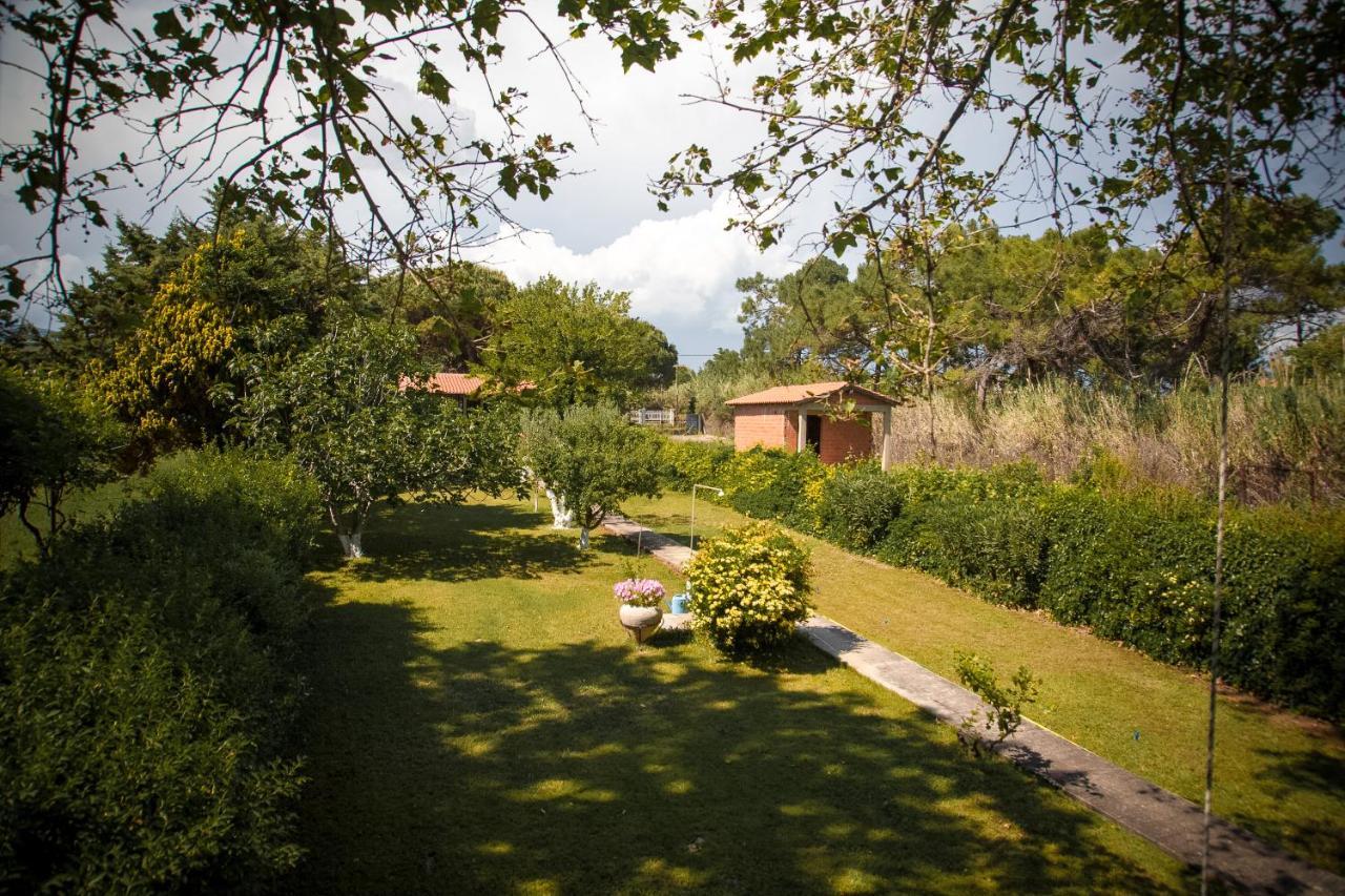 Estate Irene Villa อเล็กซานโดรโพลิส ภายนอก รูปภาพ